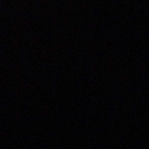 Meet your Posher, Roxy